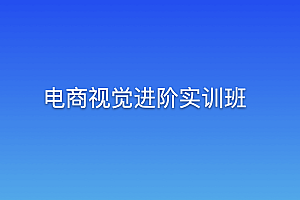 电商视觉进阶实训班(完结)